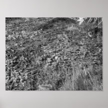 Vegetation along Travertine Creek I - Colour Desat Poster