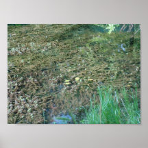 Vegetation along Travertine Creek II - Standard Print