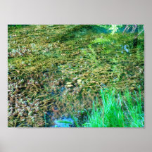 Vegetation along Travertine Creek III - Colour Sat Poster