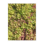 Vegetation Textured Background