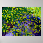 Vegetive Fireworks Posters
