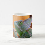 Veiled Chameleon Coffee Mugs