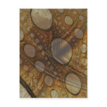 Vellum Postcard