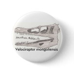 Velociraptor mongoliensis button