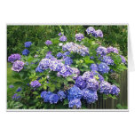 Velvet Blossom card 2