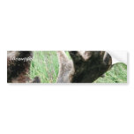 Velvet Moose Antlers bumper stickers
