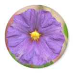 Velvet Robe magnets