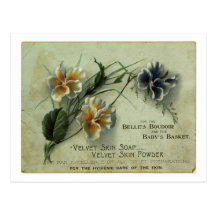 velvet skin soap post cards