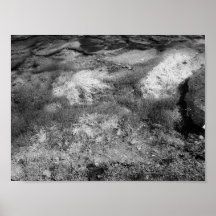 Vendome Water (Lincoln Park) - Desaturated Posters