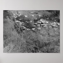 Vendome Water (Lincoln Park) - Desaturated Print