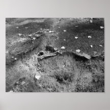 Vendome Water (Lincoln Park) - Desaturated Print