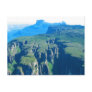 Venezuelan Jungle Post Card