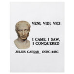 Veni, Vidi, Vici - I Came, I Saw, I Conquered Personalized Flyer