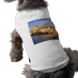 Venice pet clothing