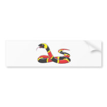Venomous Eastern Coral Snake bumper stickers