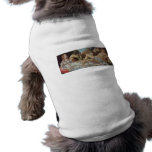 Venus and Mars by Sandro Botticelli pet clothing
