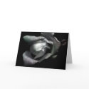 venus cards