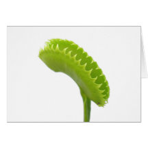 Venus Fly Trap Card