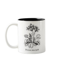 Venus Flytrap Coffee Mug