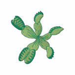 Venus Flytrap embroidered shirts