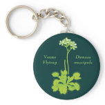 Venus Flytrap Floral Art keychains