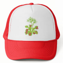 Venus Flytrap Hat