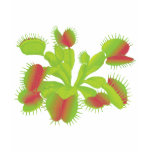 Venus Flytrap Kids T-Shirt