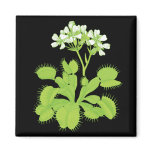 Venus Flytrap Magnet