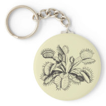 Venus Flytrap Vintage Art