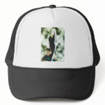 venus haze hats