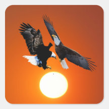 Venus in transit with two eagles square stickers