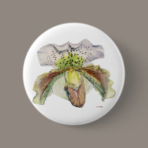 venus (Lady's slipper) buttons