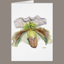 venus (Lady's slipper) cards