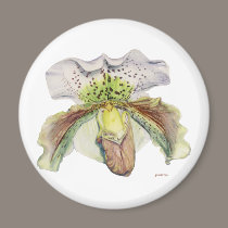 venus (Lady's slipper) magnets