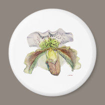 venus (Lady's slipper) magnets