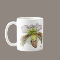 venus (Lady's slipper) mugs