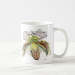 venus (Lady's slipper) Mug