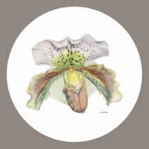 venus (Lady's slipper) stickers