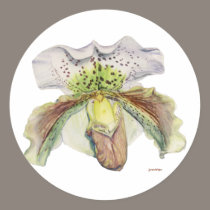 venus (Lady's slipper) stickers