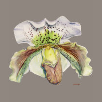 venus (Lady's slipper) t-shirts