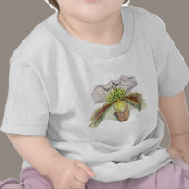 venus (Lady's slipper) t-shirts