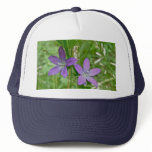 Venus Looking Glass Wildflower hats