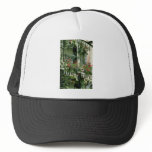 Verandah With Hanging Baskets - Geraniums, hats