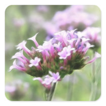 Verbena Bonariensis Square Sticker