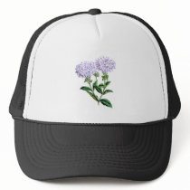 Verbena, Lady of Langlebury Hats