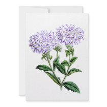 Verbena, Lady of Langlebury Announcement