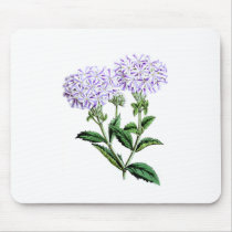 Verbena, Lady of Langlebury Mouse Pad