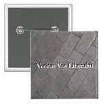 Veritas Vos Liberabit (bricked) Pins
