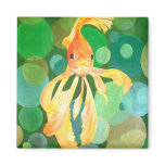 Vermilion Goldfish magnets