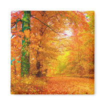Vermont Autumn Fridge Magnet